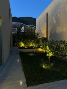 un jardin avec des arbres et des lumières sur le côté d'un bâtiment dans l'établissement Vilë në Palasë, à Palasë