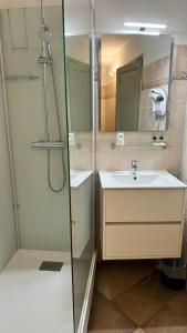 uma casa de banho com um lavatório e um chuveiro em COLOMBA Hôtel Restaurant em Bonifacio
