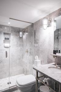 a bathroom with a shower and a toilet and a sink at Beacon Hill Hotel in Boston
