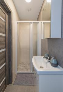 bagno con lavandino e doccia di Central Studio Apartments by Hostlovers a Kaunas