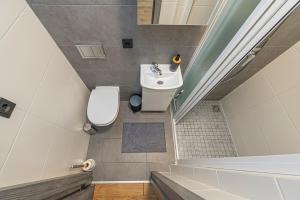 bagno con servizi igienici e lavandino di Central Studio Apartments by Hostlovers a Kaunas