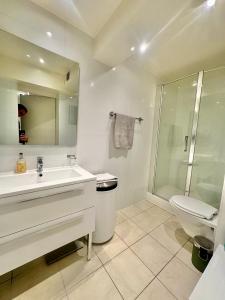 La salle de bains est pourvue d'un lavabo, d'une douche et de toilettes. dans l'établissement Residence Mont-Blanc, à Genève