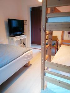 a bedroom with a bunk bed and a television at B&B Tvolm Ydby Thy in Tvolm