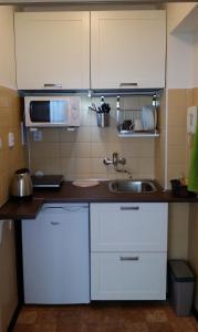 a small kitchen with a sink and a microwave at Veles Apartment in Prague