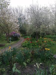 un jardin avec des fleurs et des arbres et un chemin de terre dans l'établissement B&B Tvolm Ydby Thy, à Tvolm