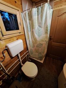 a bathroom with a toilet and a shower curtain at Vikendica Šumski Dragulj in Bajina Bašta +9 photos