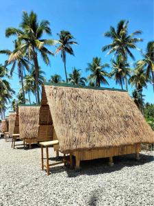 uma fileira de cabanas de palha numa praia com palmeiras em Patar Palms em Bolinao