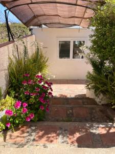 een voordeur van een huis met roze bloemen bij La Peñita - sunny guesthouse with private pool and garden in Salobreña +2 foto's