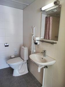 a bathroom with a toilet and a sink at Lainela puhkeküla in Käsmu