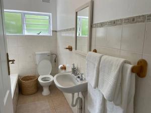a white bathroom with a toilet and a sink at Graceful Getaway in Grahamstown