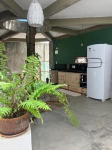 a kitchen with a plant and a white refrigerator at Kanau Surfe e Arte in Marechal Deodoro