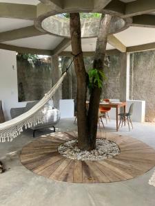 a hammock around a tree in a room at Kanau Surfe e Arte in Marechal Deodoro