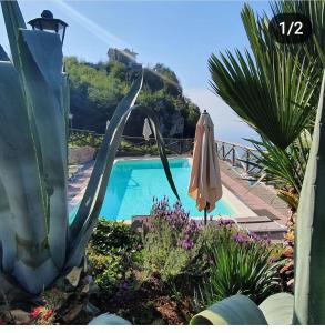 a swimming pool with an umbrella and some plants at La Cicogna in Agerola