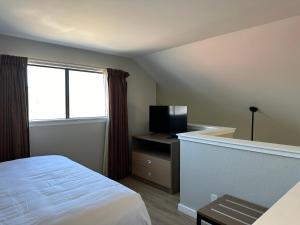 - une chambre avec un lit, une télévision et une fenêtre dans l'établissement MainStay Suites, à Springfield