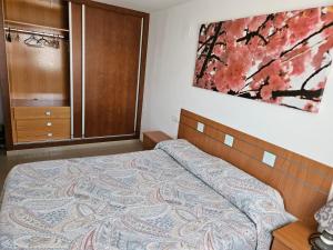 1 dormitorio con 1 cama y una pintura en la pared en Apartamentos Irina, en Gandía
