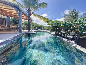 Oyster PondにあるLa Sucriere sea view swimming pool open-air atmospherのヤシの木のある家の中のスイミングプール
