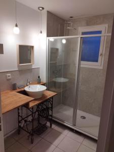 een badkamer met een douche en een wastafel bij La curieuse petite maison in Vendôme