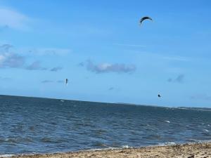una cometa volando sobre el océano en una playa en Strandperle 1, en Loissin