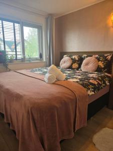 1 dormitorio con cama con almohadas y ventana en Tip Top Studio Vlissingen, en Vlissingen