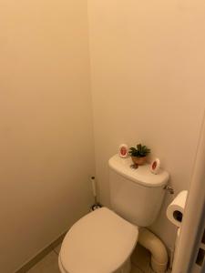 ein Badezimmer mit WC und einer Pflanze darüber in der Unterkunft Appartement meublé et cosy in Gennevilliers