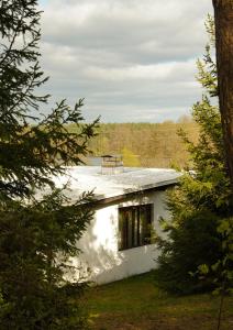 a bench sitting on the roof of a white house at Gospodarstwo Agroturystyczne Kłączno in Kłaczno