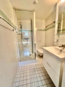 y baño con ducha, lavabo y aseo. en Residence Mont-Blanc Apartment, en Ginebra