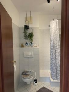 a bathroom with a toilet and a shower at Studio 76 - Apartment zentrale Lage ganze Wohnung in Friedrichshafen
