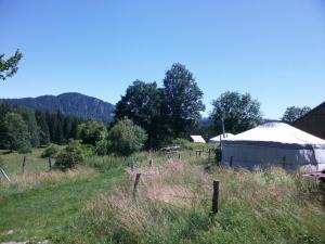 a yurt in the middle of a field with trees at La Petite Echelle in Rochejean