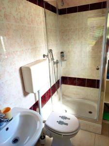 uma casa de banho com um WC, um lavatório e um chuveiro em APARTMA KAPELSKI FANT em Sveti Jurij ob Ščavnici