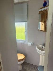 a small bathroom with a toilet and a sink at A7 caravan The Chase Ingoldmells in Ingoldmells
