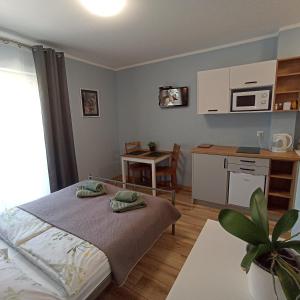 1 dormitorio con 1 cama y cocina con mesa en Apartamenty Gościnne Idylla en Kudowa-Zdrój