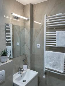 ベオグラードにあるGalaxy Apartmentsのバスルーム(洗面台、鏡付)