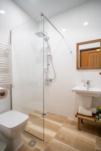 W łazience znajduje się prysznic, toaleta i umywalka. w obiekcie Hotel Tsinandali Memories w mieście Tsinandali