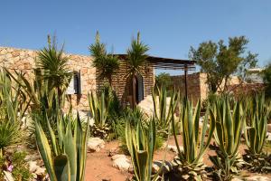 um grupo de plantas em frente a um edifício em Calamadonna Club Hotel em Lampedusa