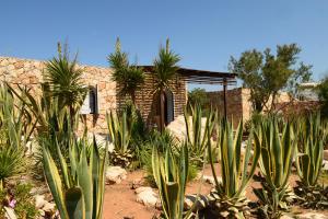 a group of plants in front of a building at Calamadonna Club Hotel in Lampedusa