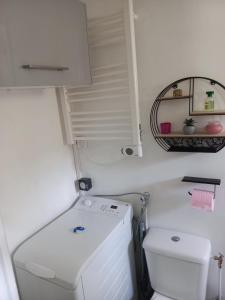 ein kleines Bad mit einem WC und einem Spiegel in der Unterkunft Maisonnette au calme in Gennevilliers