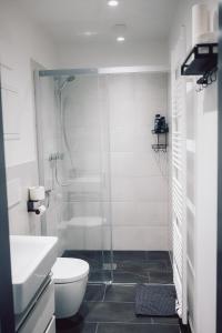 a bathroom with a shower and a toilet and a sink at Suite 13 im Wald mit Balkon in Amberg