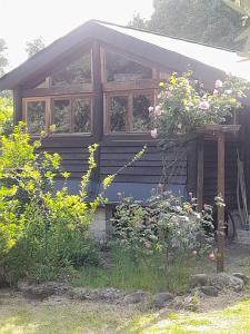 a wooden house with a flower garden in front of it at Chalet Dominique 