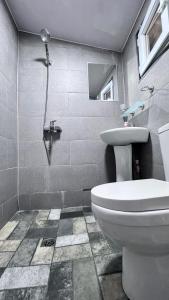 a bathroom with a toilet and a shower at Femyli rooms in Shekvetili