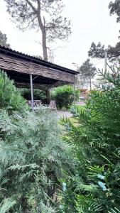 un pabellón con una mesa de picnic y algunas plantas en Femyli rooms, en Shekhvetili