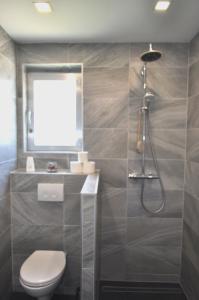 een badkamer met een toilet en een douche bij EG Das Familien-Apartment TOP 1 in Wenen