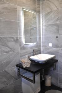 een badkamer met een wastafel en een spiegel bij EG Das Familien-Apartment TOP 1 in Wenen