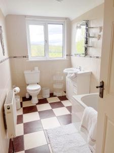 a white bathroom with a toilet and a sink at Knockview in Aughrim
