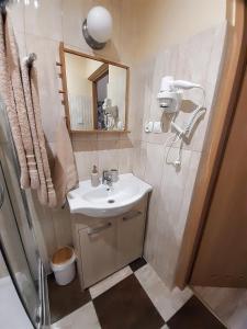 a bathroom with a sink and a mirror and a shower at Pokoje Za Kinem in Duszniki Zdrój
