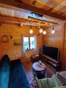 a living room with a couch and a tv at Drinska Dama in Bajina Bašta