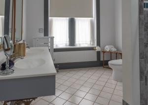 a bathroom with a sink and a toilet at William Henry Miller Inn in Ithaca