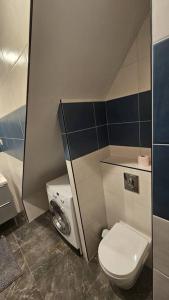 een badkamer met een toilet en een wastafel bij Maisonnette Proche plage in Brest