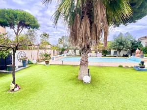 een tuin met een palmboom en een zwembad bij Appartement La Grande-Motte, 4 pièces, 6 personnes - FR-1-716-63 in La Grande-Motte