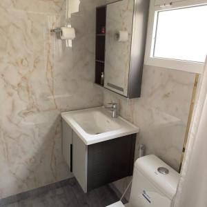 een badkamer met een wastafel en een toilet bij Elegance in Firq