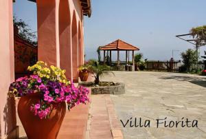A garden outside Villa Fiorita
